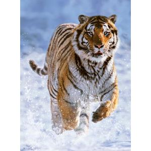 Ravensburger Puzzle 500 PC - Tigre sulla neve 12000148
