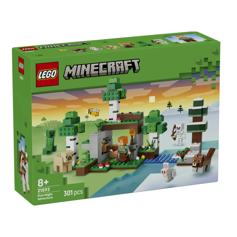 LEGO MINECRAFT - Avventura della prima notte 21593