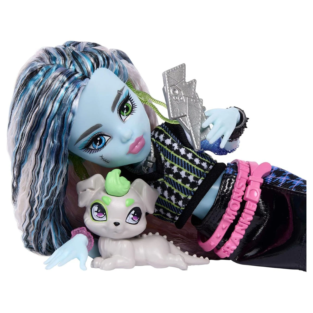 Monster High CORE DOLL FRANKIE JHK31