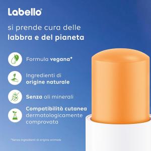 LABELLO BURROCACAO MANGO 4.8G