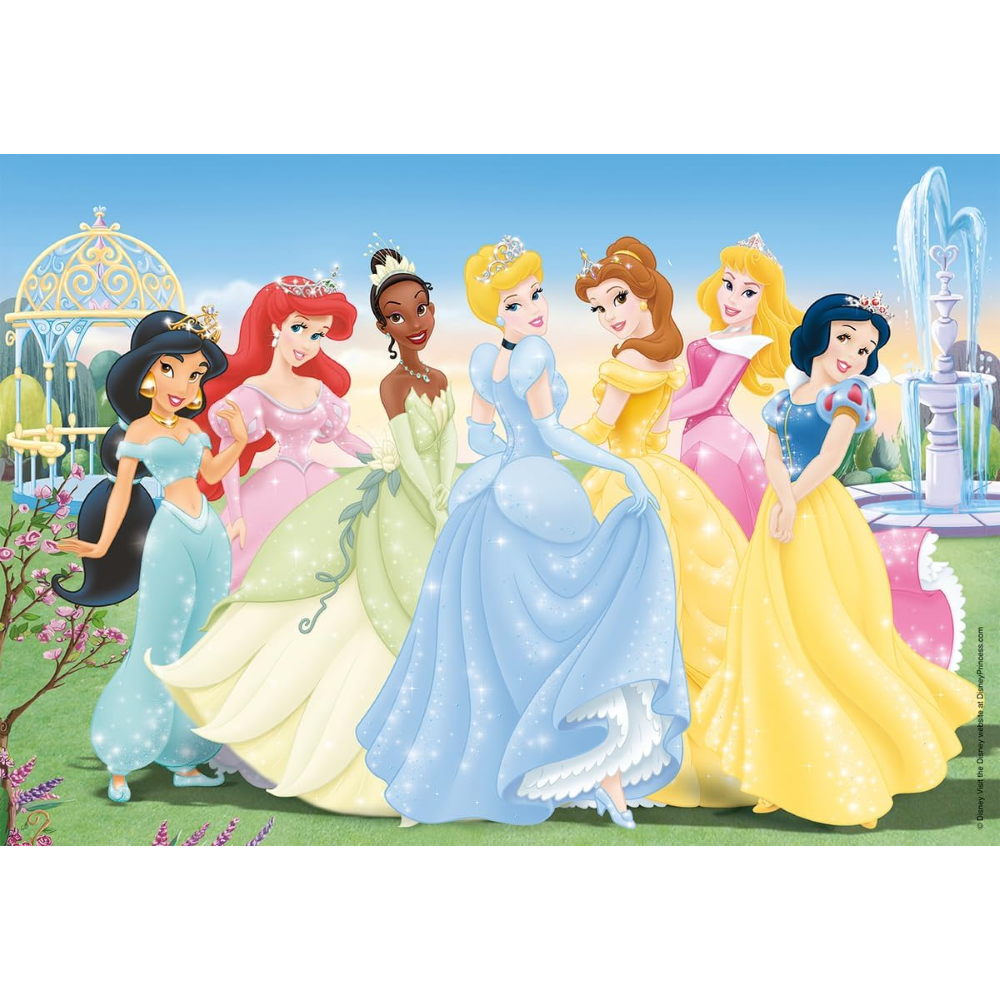 Ravensburger 2 x 24 pc - Disney Princess 8872
